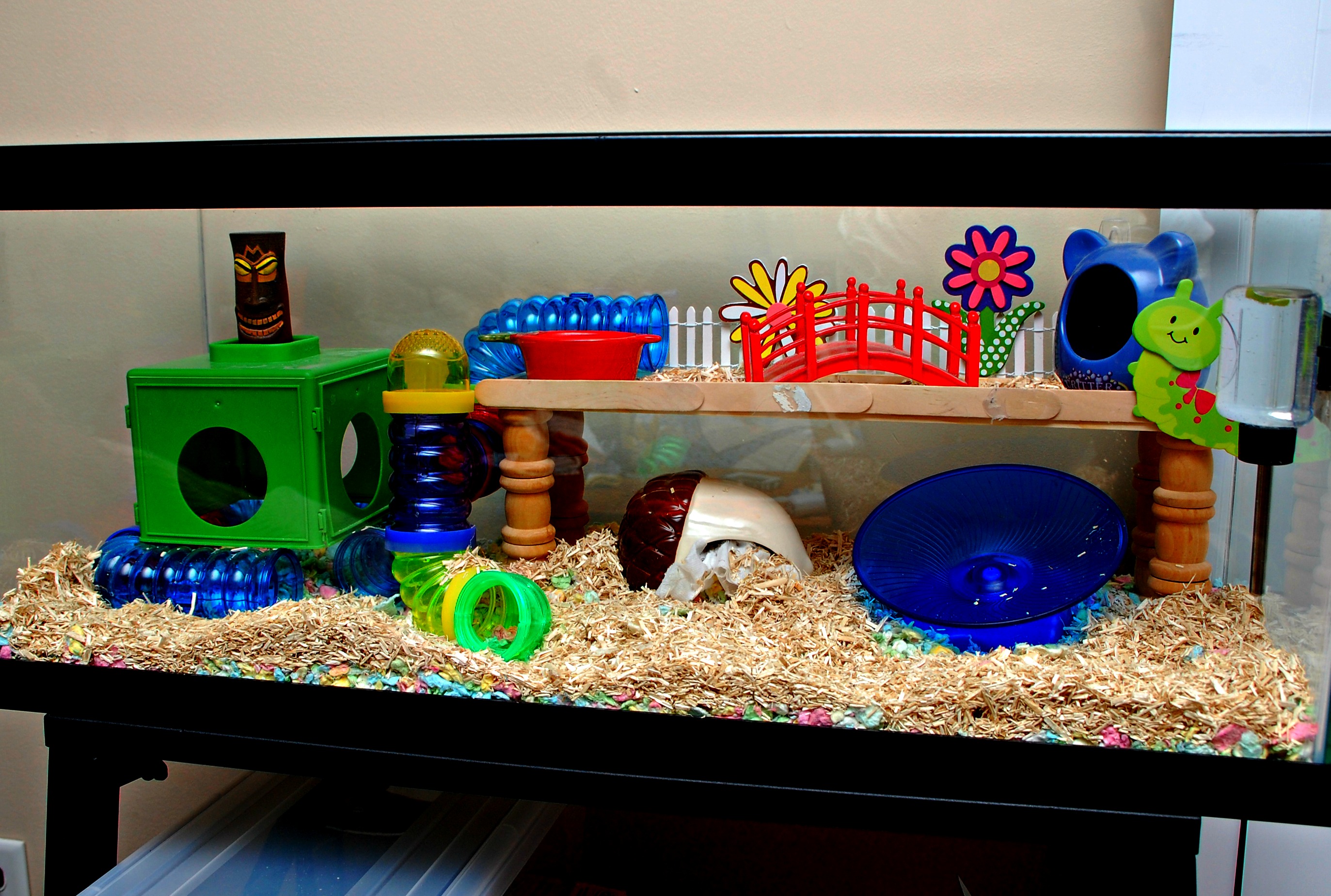 hamster fish tank