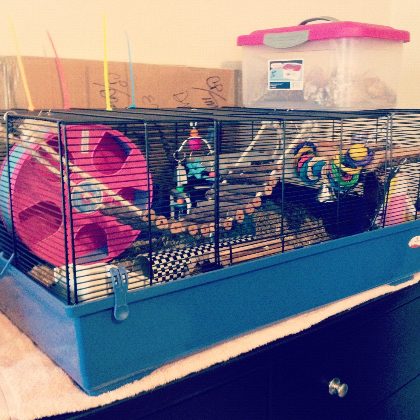 kevin 82 hamster cage